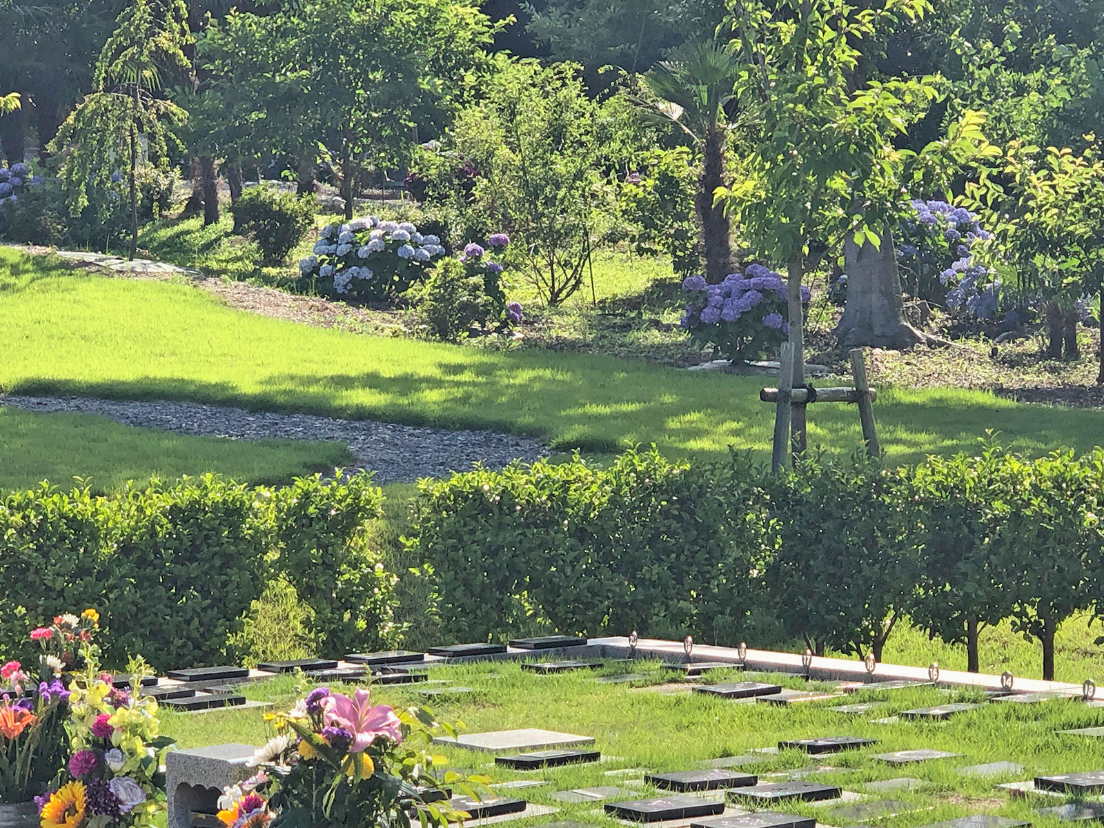桜葬墓園|景観・夏|有限会社昴