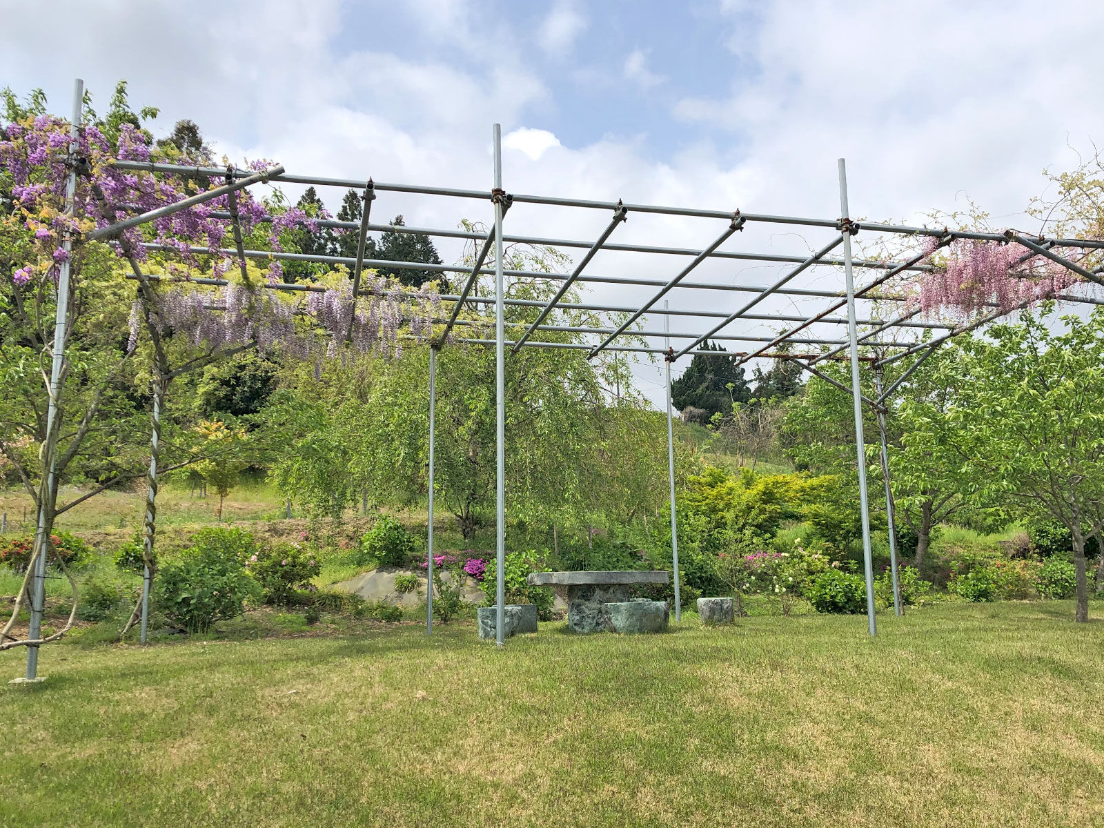 桜葬墓園|景観・藤棚|有限会社昴